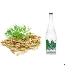 عرق رازیانه