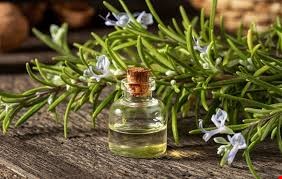 روغن رزماری