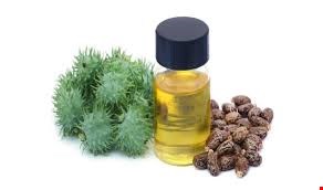 روغن کرچک